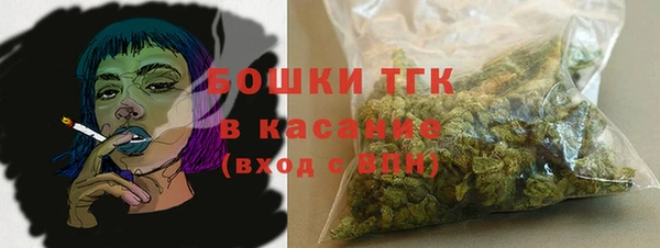 эйфоретик Арсеньев