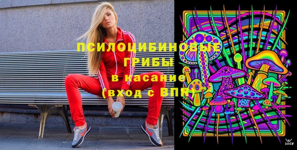 эйфоретик Арсеньев