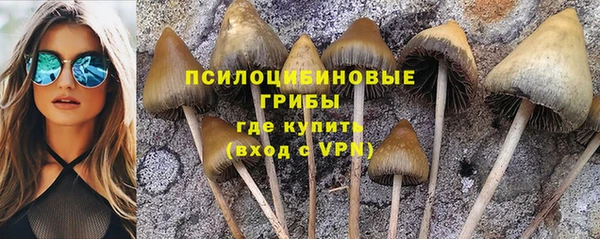 эйфоретик Арсеньев