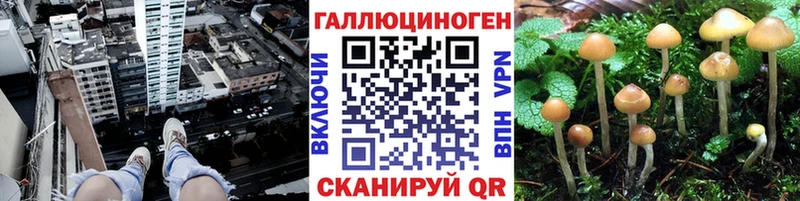 Галлюциногенные грибы Cubensis  MEGA ТОР  Полярный  где найти  