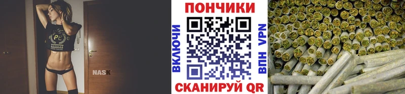 Каннабис сатива Полярный